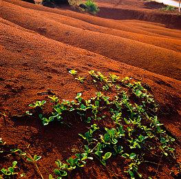 《我的可爱皇后》发售日预告 8月21日发售
