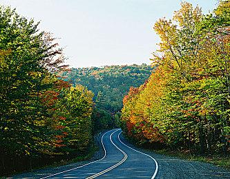 波西米亚互动正在开发《DayZ 2》